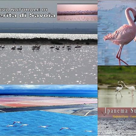 Ipanema Suite Margherita Di Savoia Dış mekan fotoğraf